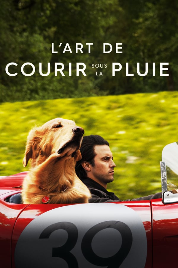 FR - L'art de courir sous la pluie (2019)