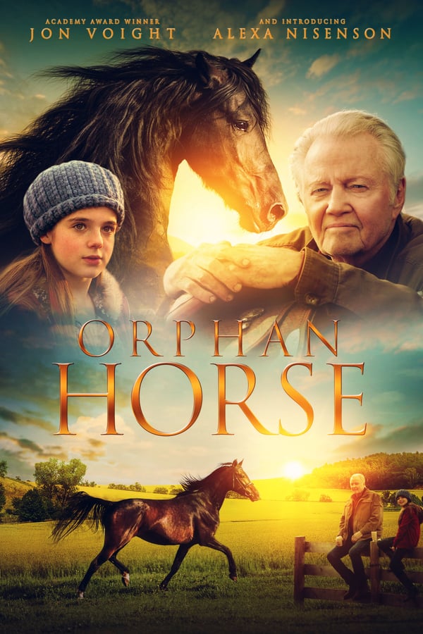 RO - Orphan Horse