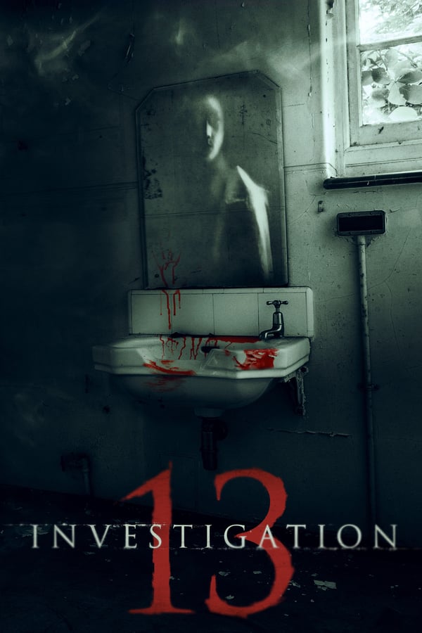 NL - Investigation 13  (2019)
