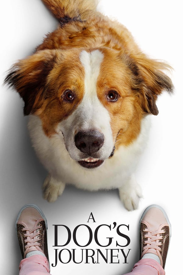 NF - A Dog's Journey (2019)